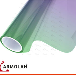 ARM Color-Flip